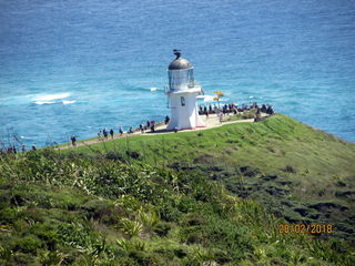Cape Reinga tour