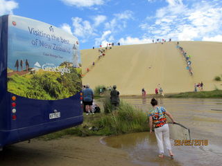 Cape Reinga tour